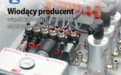 Teknosystem w BusinessPL